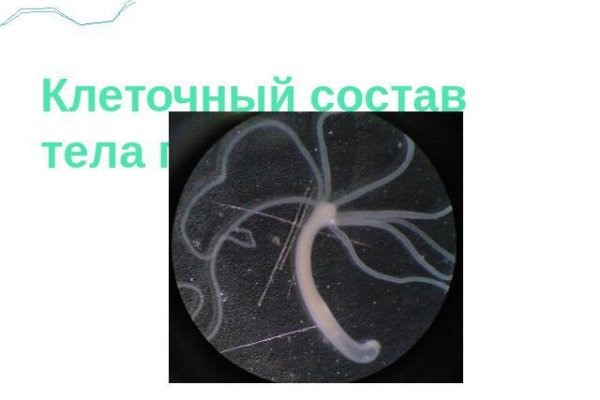 Kraken onion ссылка